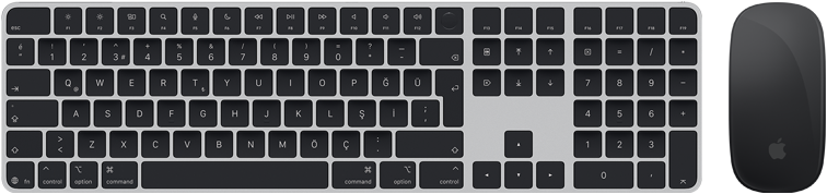 Touch ID özellikli Magic Keyboard ve Magic Mouse’un üstten görünümü