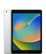iPad (9. nesil)