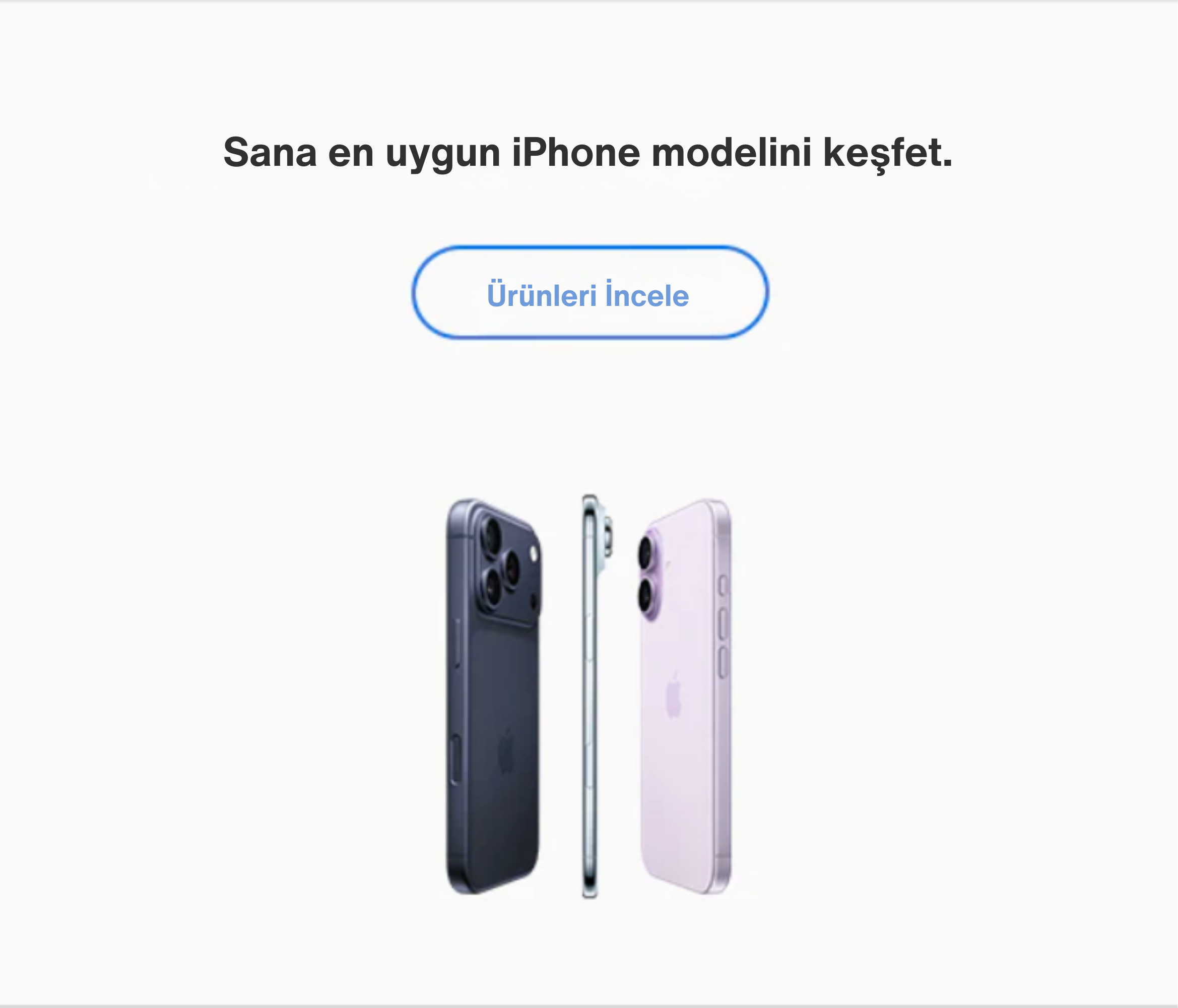 bannerName