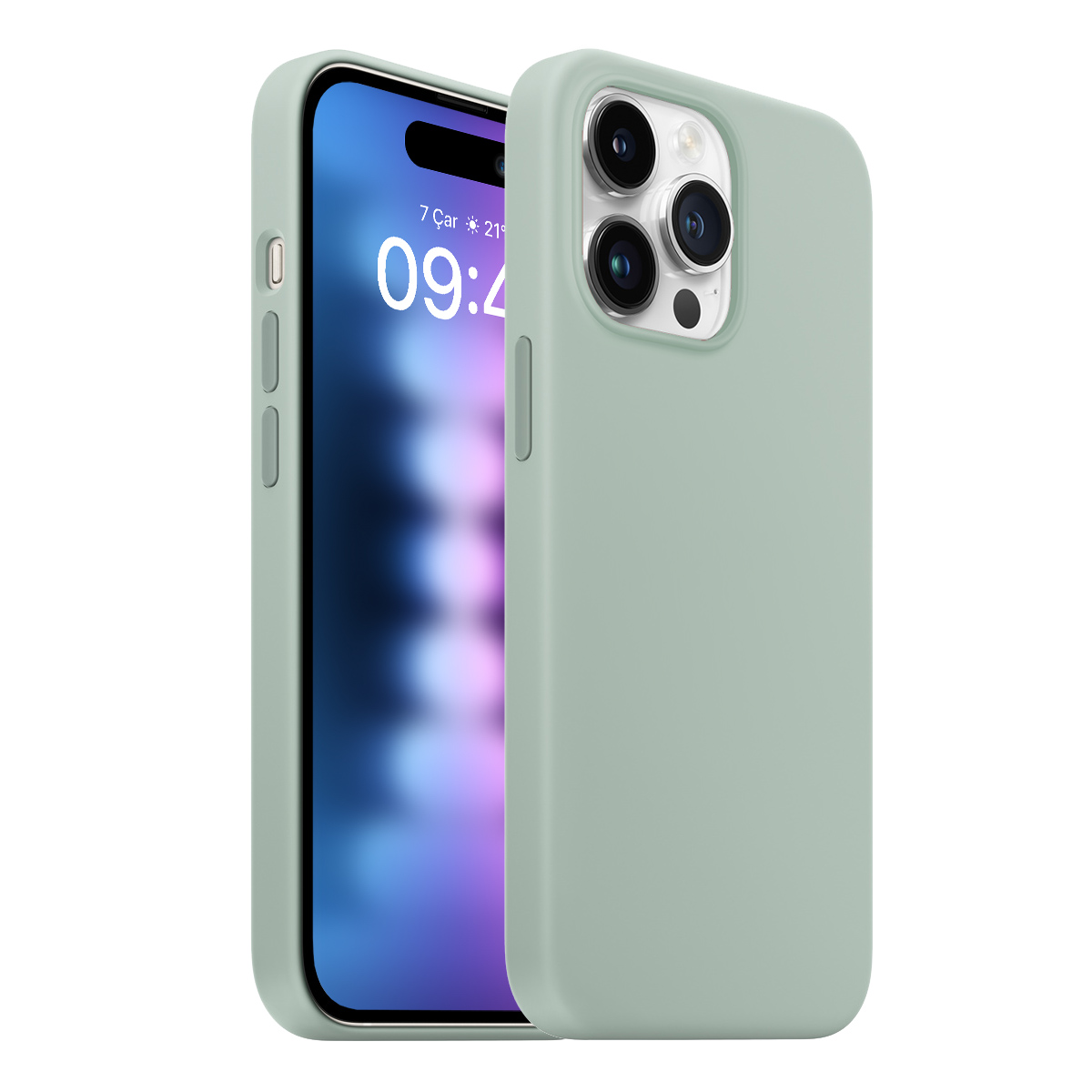 Buff iPhone 15 Pro Max Rubber Fit Kılıf Succulent 8683548218544