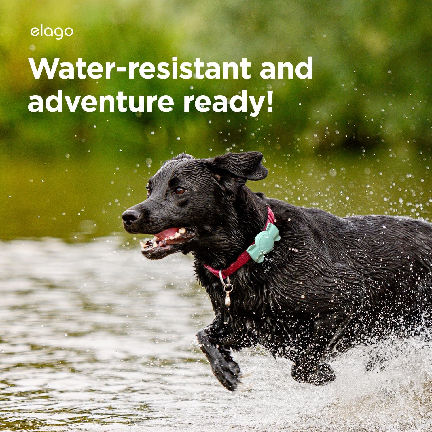 Elago Apple Silikon Pet Ribbon AirTag Kılıfı - Pembe 8809919811750