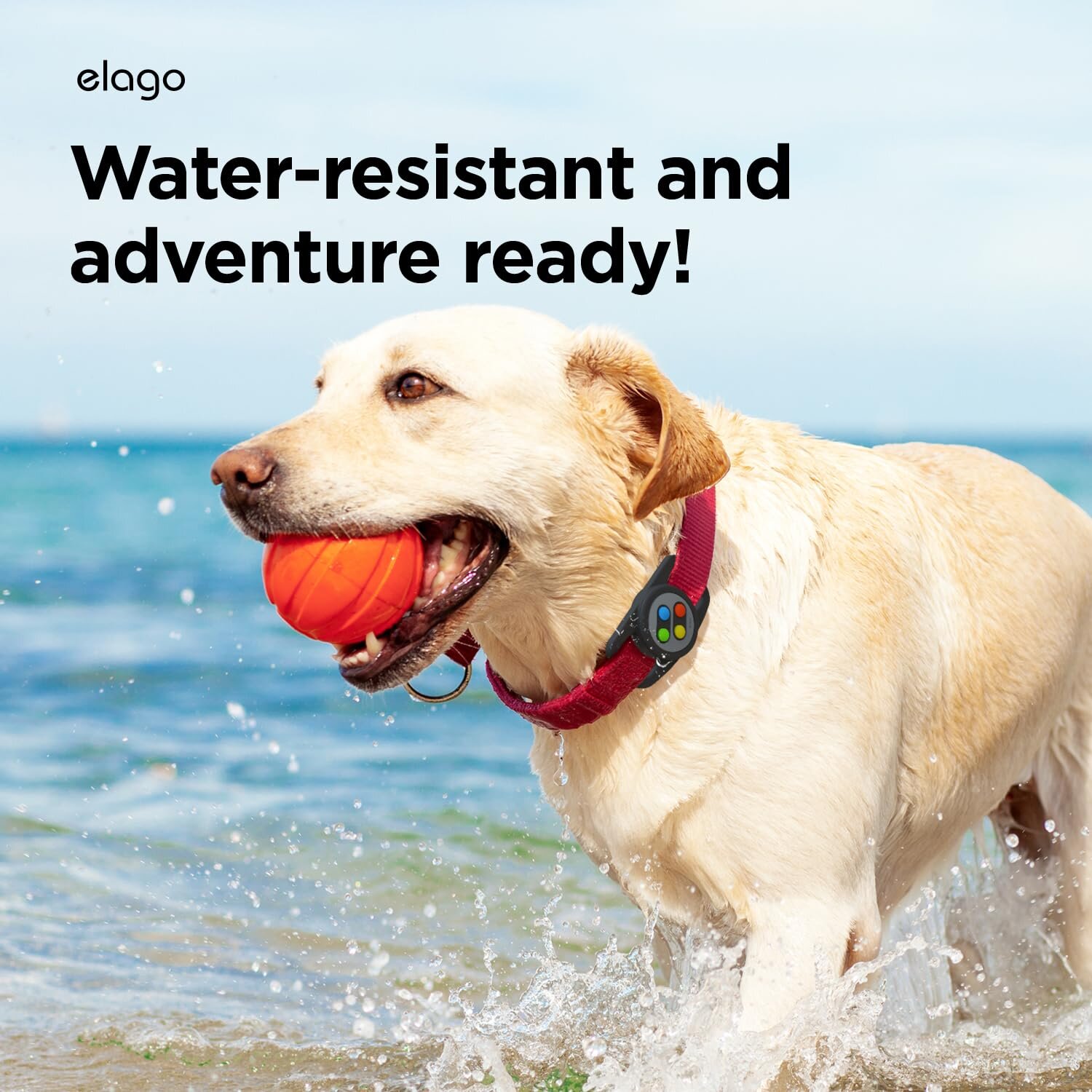 Elago Apple Silikon Pet W5 AirTag Kılıfı - Siyah 8809919811774