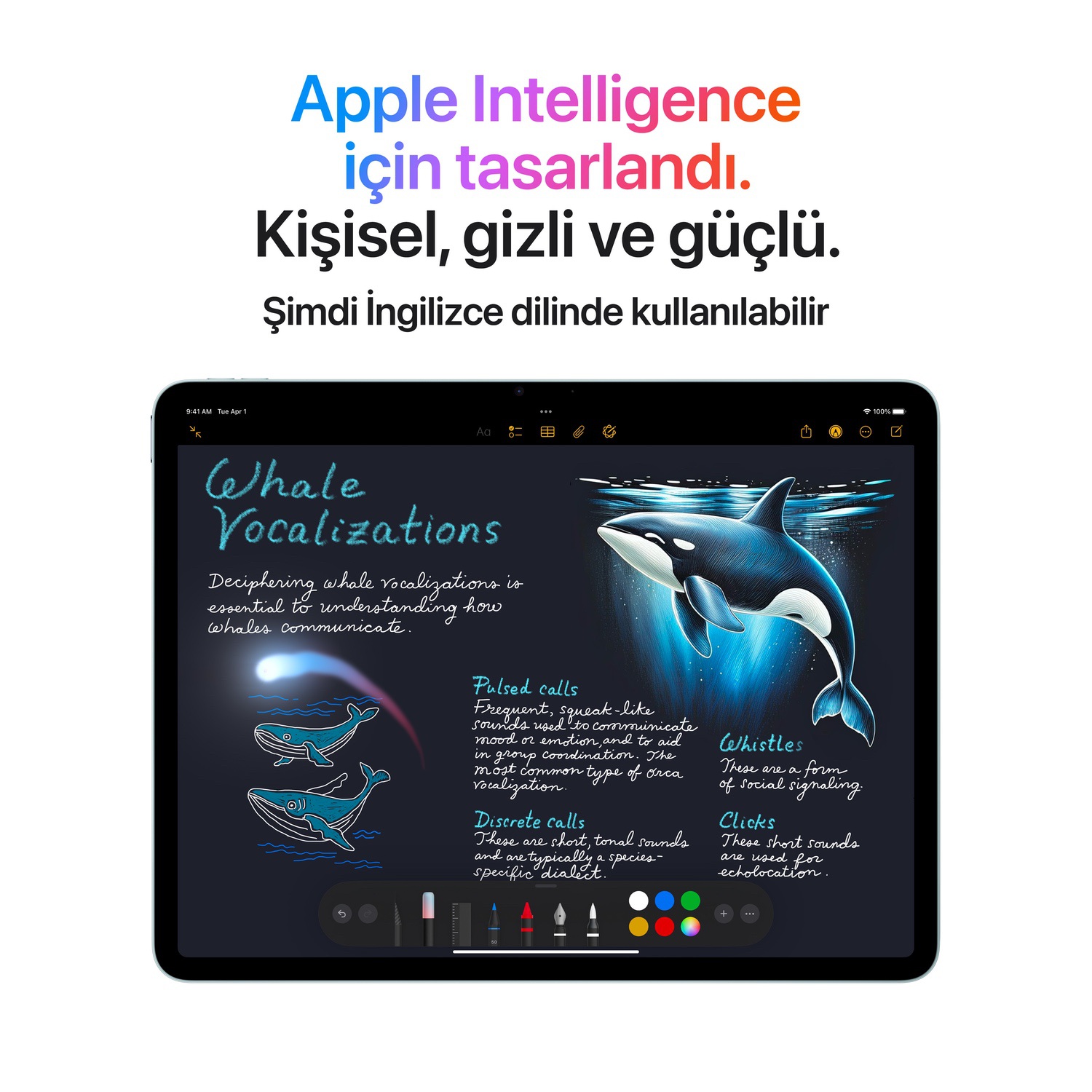 Apple 13 inç iPad Air M3 Wi-Fi + Cellular 256GB Uzay Grisi MCJ54TU/A