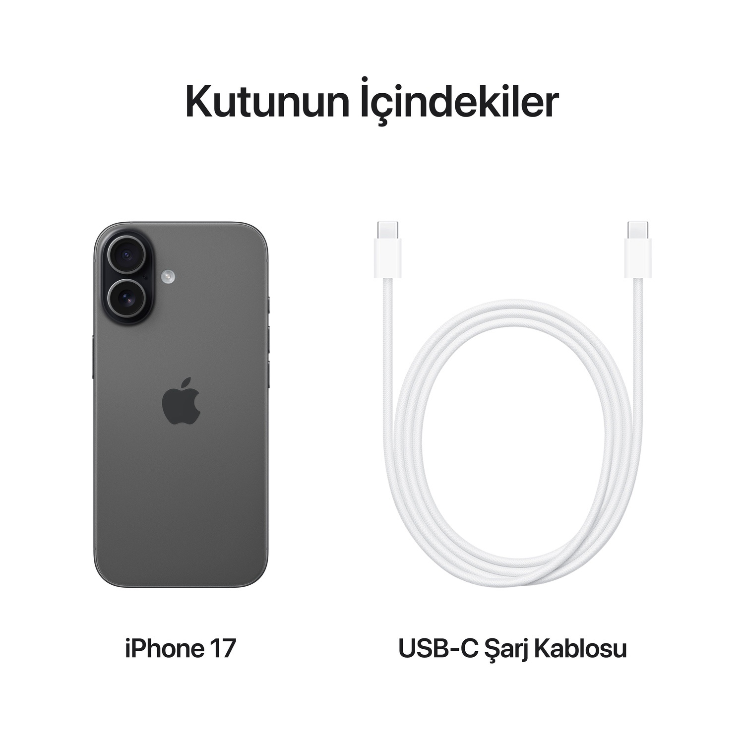 iPhone 17 256GB Siyah MG6J4TU/A