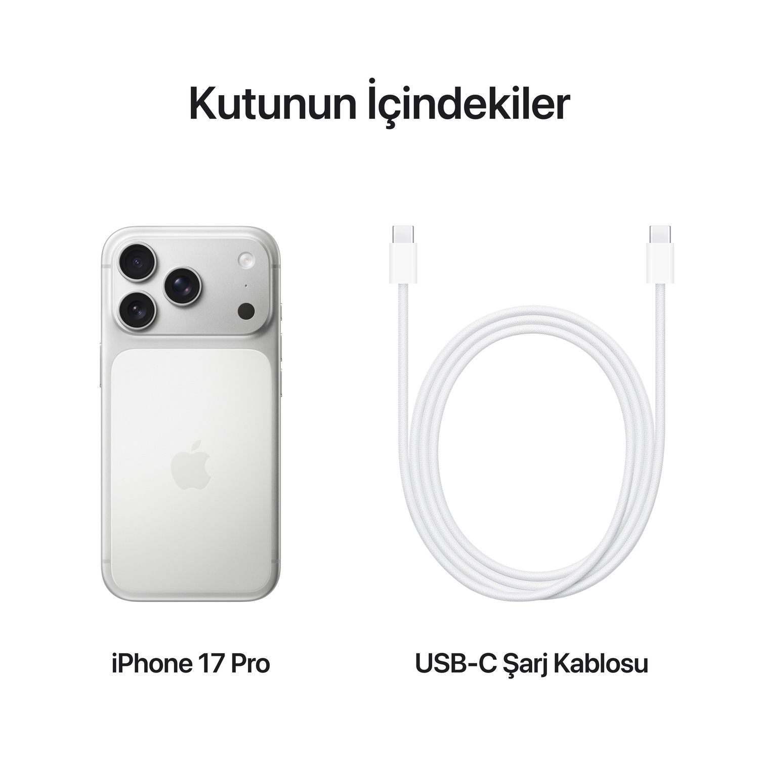 iPhone 17 Pro 1TB Gümüş MG8P4TU/A