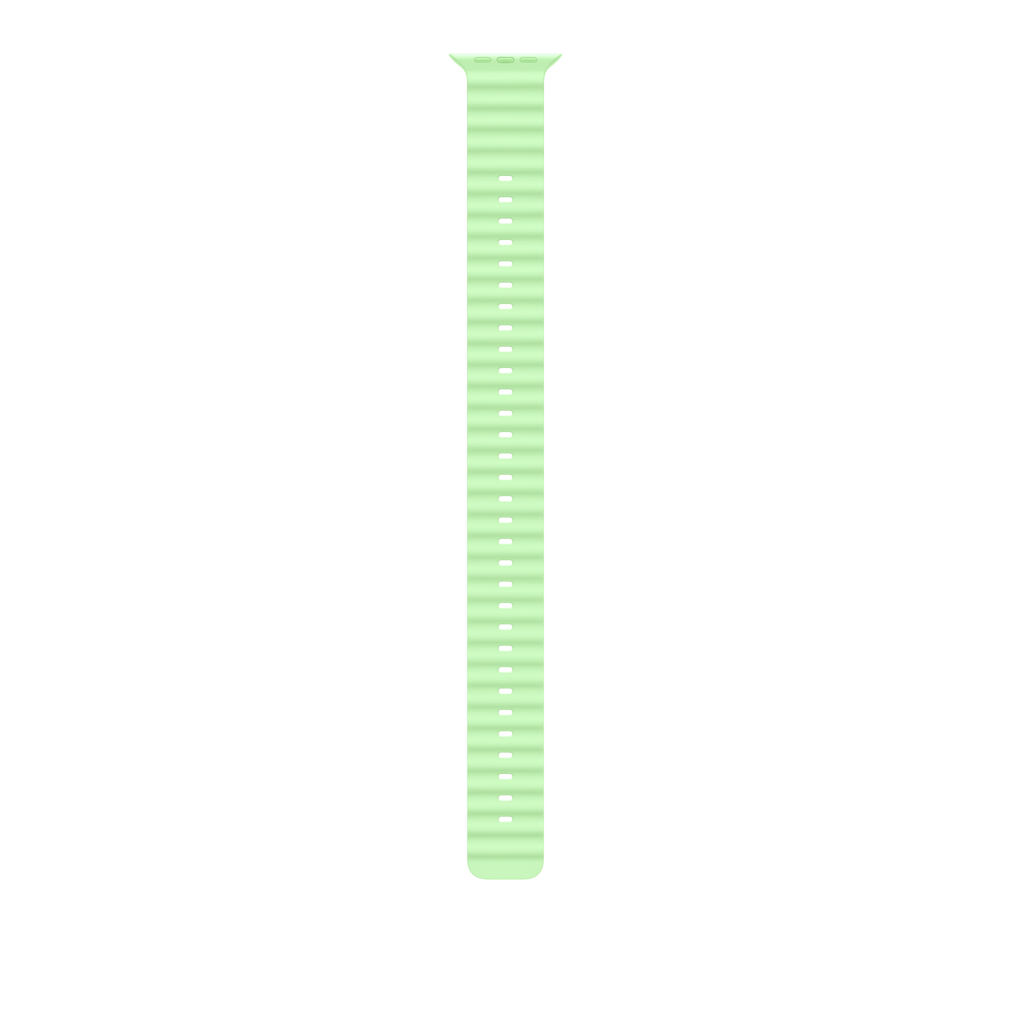 49 mm Neon Yeşil Ocean Kordon Kordon Uzatma Kiti - Natürel Titanyum MGCG4ZM/A