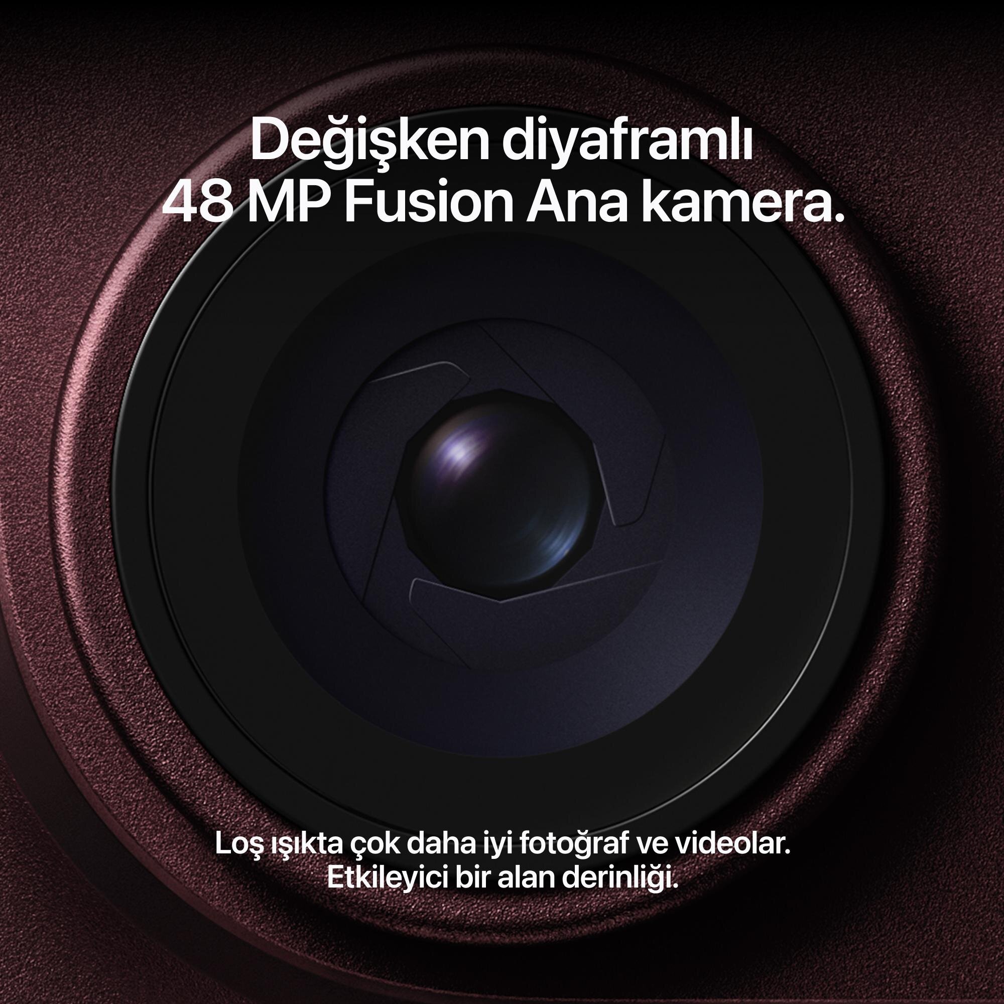 iPhone 18 Pro 256GB Buzul Rengi MJRT4TU/A