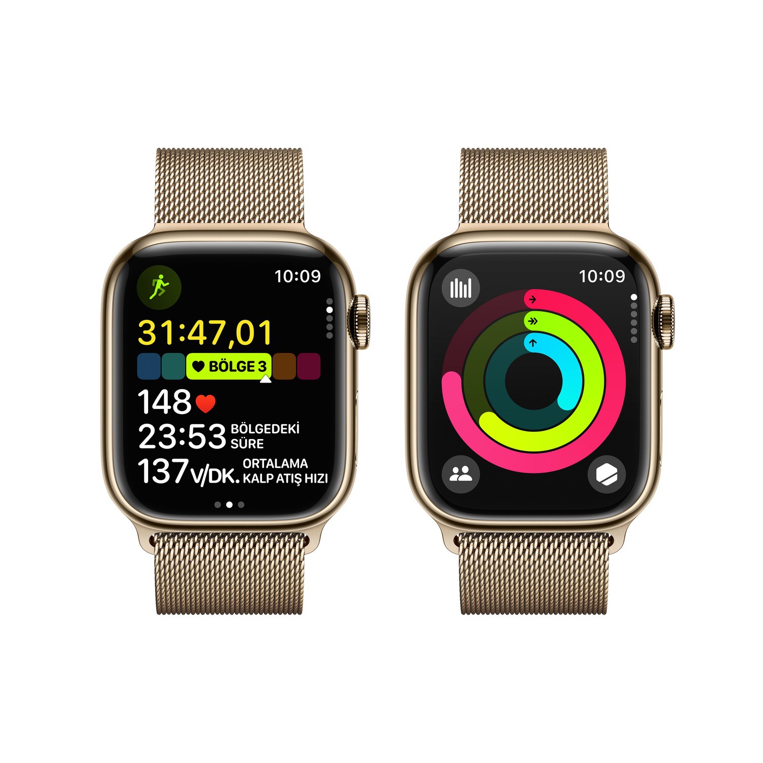 Apple Watch Series 9 GPS + Cellular 41mm Altın Rengi Paslanmaz Çelik Kasa ve Altın Rengi Milano Loop  MRJ73TU/A