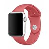 42 mm Camellia Spor Kordon S/M & M/L MPUW2ZM/A