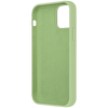 Piili iPhone 12 Pro Max Yeşil Lansman Kılıf 6944628919693