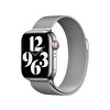 Apple Watch 41mm Silver Milanese Loop