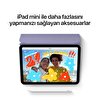 Apple iPad mini 8.3" Wi-Fi + Cellular 64GB - Pembe - MLX43TU/A