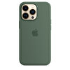 iPhone 13 Pro için MagSafe özellikli Silikon Kılıf – Okaliptus MN673ZM/A