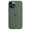 iPhone 13 Pro Max için MagSafe özellikli Silikon Kılıf – Okaliptus