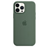 iPhone 13 Pro Max için MagSafe özellikli Silikon Kılıf – Okaliptus MN6C3ZM/A