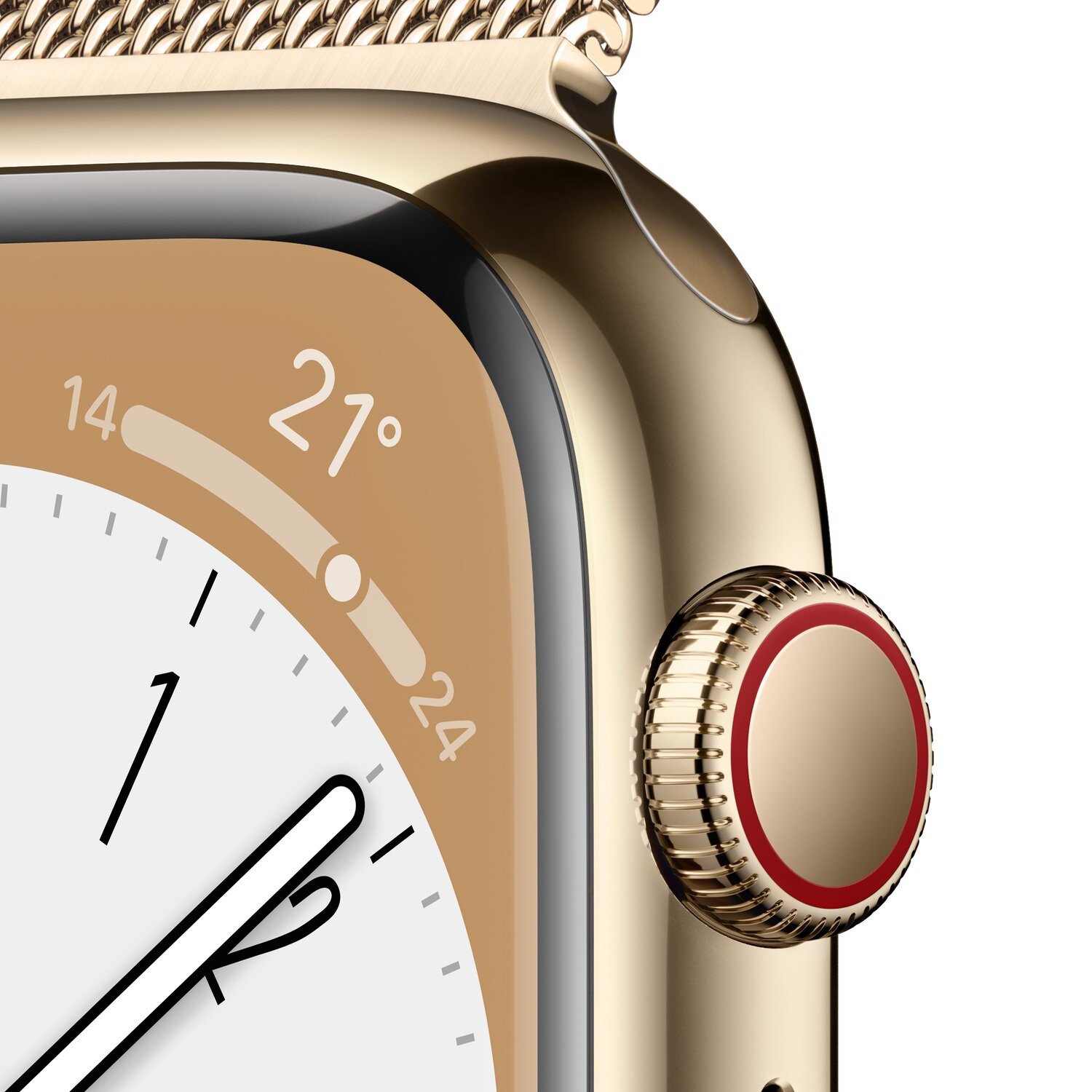 Apple Watch Series GPS Cellular 41mm Altın Rengi Paslanmaz Çelik Kasa  Altın Milano Kordon Troy Estore