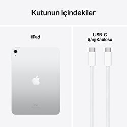Apple 10.9 inç iPad Wi-Fi 256GB - Gümüş MCMD4TU/A