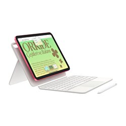 Apple 10.9 inç iPad Wi-Fi + Cellular 256GB - Pembe MCMR4TU/A