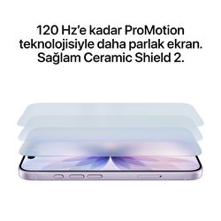 iPhone 17 256GB Ada Çayı MG6N4TU/A