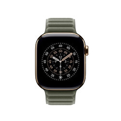 42 mm Ada Çayı Grisi Manyetik Baklalı Model Kayış - S/M MGDD4ZM/A