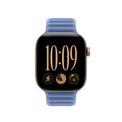 42 mm Kır Çiçeği Mavisi Manyetik Baklalı Model Kayış - S/M MKRE4ZM/A
