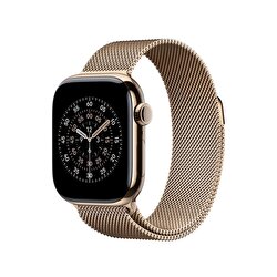 Apple 41 mm Altın Rengi Milano Loop ML733ZM/A