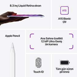Apple iPad mini 8.3 inç  Wi-Fi + Cellular 256GB - Pembe  MLX93TU/A