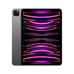 Apple 11 inç iPad Pro Wi-Fi 256GB - Uzay Grisi  MNXF3TU/A