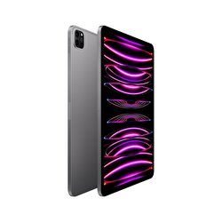 Apple 11 inç iPad Pro Wi-Fi 256GB - Uzay Grisi  MNXF3TU/A