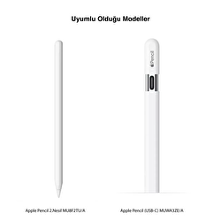 Apple 11 inç iPad Pro Wi-Fi 1TB - Gümüş MNXL3TU/A MNXL3TU/A