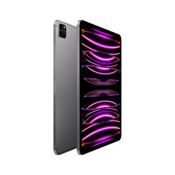Apple 11 inç iPad Pro Wi-Fi + Cellular 512GB - Uzay Grisi  MNYG3TU/A