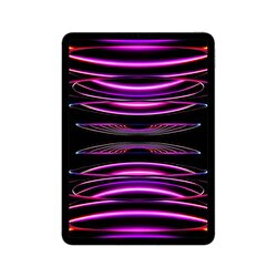 Apple 11 inç iPad Pro Wi-Fi + Cellular 2TB - Uzay Grisi MNYL3TU/A MNYL3TU/A