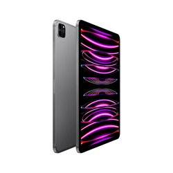 Apple 11 inç iPad Pro Wi-Fi + Cellular 2TB - Uzay Grisi MNYL3TU/A MNYL3TU/A