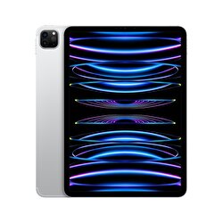 Apple 11 inç iPad Pro Wi-Fi + Cellular 2TB - Gümüş  MNYM3TU/A