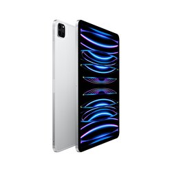 Apple 11 inç iPad Pro Wi-Fi + Cellular 2TB - Gümüş  MNYM3TU/A