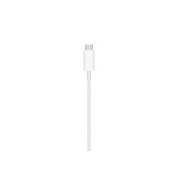 Apple Watch Manyetik Şarj Aygıtı için USB Kablosu (0,3 m) MU9J2ZM/A MU9J2ZM/A