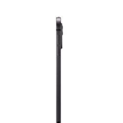 Apple 11 inç iPad Pro M4 WiFi 256GB  Standard  Cam Uzay Siyahı  MVV83TU/A