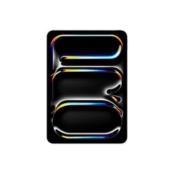 Apple 11 inç iPad Pro M4 WiFi 2TB  Standard  Cam Uzay Siyahı  MVVG3TU/A