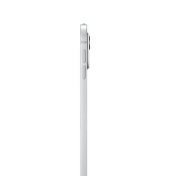 Apple 13 inç iPad Pro M4 WiFi + Cellular 2TB Nano-texture Cam Gümüş  MWT23TU/A