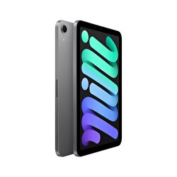 Apple iPad Mini 512GB 8.3" Wi-Fi Uzay Grisi MYGY3TU/A