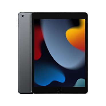 Apple iPad 10.2" Wi-Fi 256GB - Uzay Grisi 