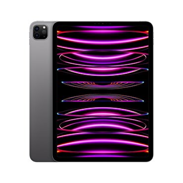 Apple 11 inç iPad Pro Wi-Fi 256GB - Uzay Grisi 