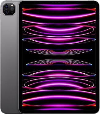 Apple 11 inç iPad Pro Wi-Fi 2TB - Uzay Grisi MNXM3TU/A