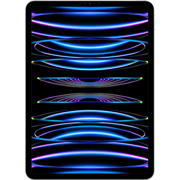 Apple 11 inç iPad Pro Wi-Fi 2TB - Gümüş MNXN3TU/A