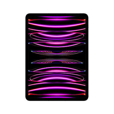 Apple 11 inç iPad Pro Wi-Fi + Cellular 1TB - Uzay Grisi MNYJ3TU/A