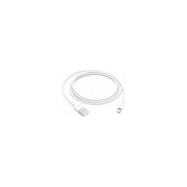 Apple Lightning - USB Kablosu (1 m)