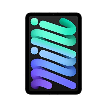 Apple iPad Mini 512GB 8.3 inç  Wi-Fi + Cellular Uzay Grisi 