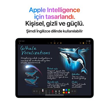 Apple 13 inç iPad Air M3 Wi-Fi 1TB Mor MCQ34TU/A