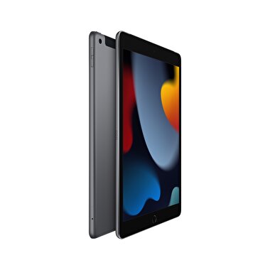 Apple iPad 10.2" Wi-Fi + Cellular 256GB - Uzay Grisi  MK4E3TU/A