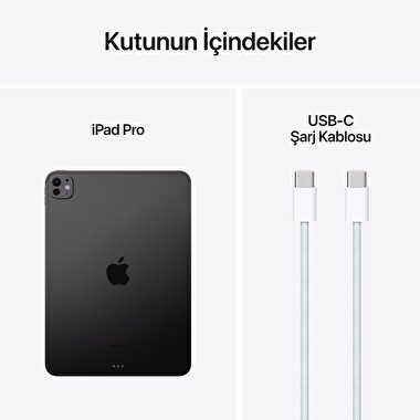 Apple 11 inç iPad Pro M4 WiFi 256GB  Standard  Cam Uzay Siyahı  MVV83TU/A